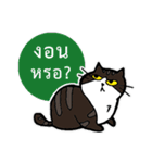 1st Cat（個別スタンプ：10）