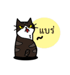 1st Cat（個別スタンプ：12）
