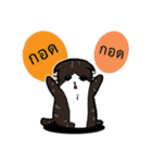 1st Cat（個別スタンプ：13）