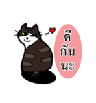 1st Cat（個別スタンプ：15）
