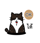 1st Cat（個別スタンプ：16）