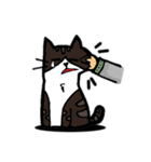 1st Cat（個別スタンプ：18）