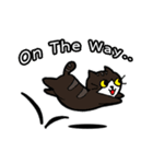 1st Cat（個別スタンプ：23）