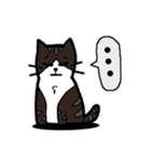 1st Cat（個別スタンプ：24）