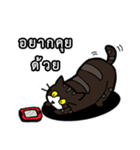 1st Cat（個別スタンプ：25）
