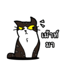 1st Cat（個別スタンプ：26）