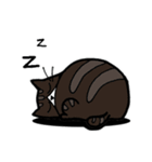 1st Cat（個別スタンプ：27）