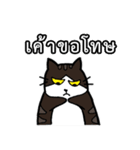 1st Cat（個別スタンプ：28）