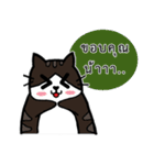 1st Cat（個別スタンプ：29）