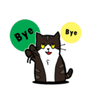 1st Cat（個別スタンプ：32）