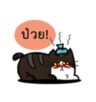 1st Cat（個別スタンプ：37）