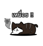 1st Cat（個別スタンプ：38）
