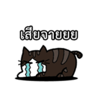 1st Cat（個別スタンプ：40）