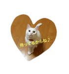 福々（個別スタンプ：1）