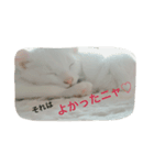 福々（個別スタンプ：6）