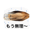 常滑 ほたる子猫店長 とらじ 1（個別スタンプ：2）