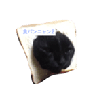 ももたの日常2（個別スタンプ：1）