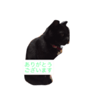 ももたの日常2（個別スタンプ：6）