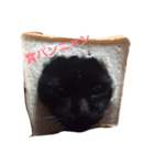 ももにゃんの日常（個別スタンプ：1）