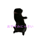ももにゃんの日常（個別スタンプ：2）