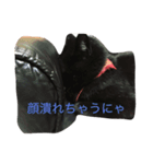 ももにゃんの日常（個別スタンプ：3）