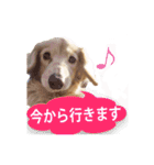 nanaの懐かしい日々（個別スタンプ：2）