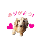 nanaの懐かしい日々（個別スタンプ：7）