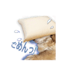 nanaの懐かしい日々（個別スタンプ：9）