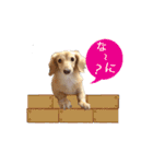 nanaの懐かしい日々（個別スタンプ：10）