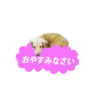 nanaの懐かしい日々（個別スタンプ：12）