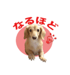 nanaの懐かしい日々（個別スタンプ：13）