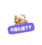 nanaの懐かしい日々（個別スタンプ：14）