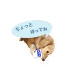 nanaの懐かしい日々（個別スタンプ：15）