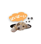 nanaの懐かしい日々（個別スタンプ：16）