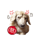 nanaの懐かしい日々（個別スタンプ：20）