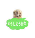 nanaの懐かしい日々（個別スタンプ：22）