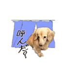nanaの懐かしい日々（個別スタンプ：23）