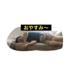 Dぐみーず（個別スタンプ：1）
