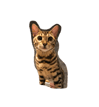 Tiger？ Cat（個別スタンプ：2）