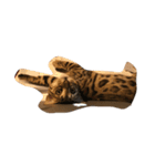 Tiger？ Cat（個別スタンプ：9）