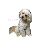 ロンのスタンプ（個別スタンプ：6）