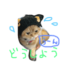 ねこのうに2（個別スタンプ：2）