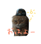 ねこのうに2（個別スタンプ：4）