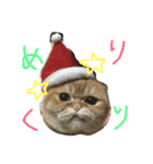 ねこのうに2（個別スタンプ：7）