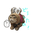 ねこのうに2（個別スタンプ：9）