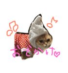 ねこのうに2（個別スタンプ：10）