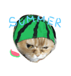 ねこのうに2（個別スタンプ：11）