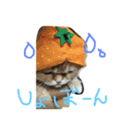 ねこのうに2（個別スタンプ：12）