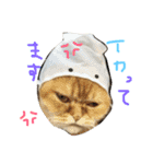 ねこのうに2（個別スタンプ：21）