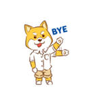 Bibu Shiba（個別スタンプ：4）